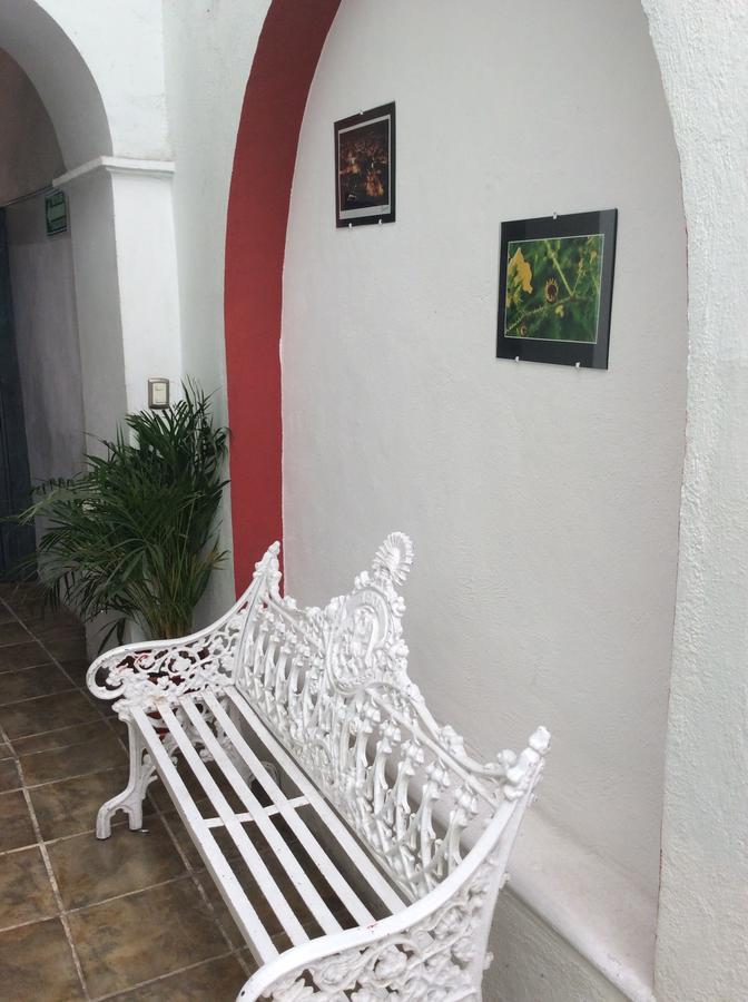 Casa Rocinante Hotel